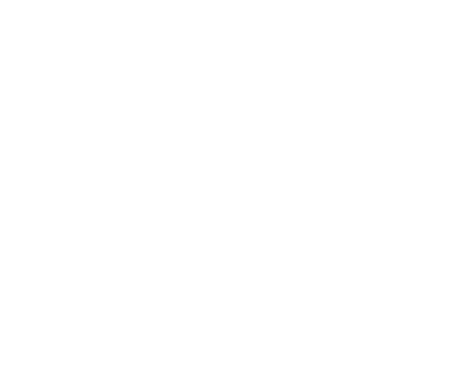 The Fly Shop logo